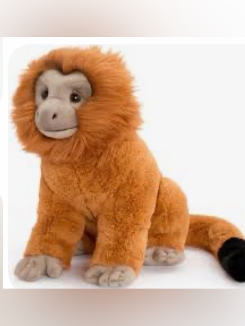 Adopt A Wild Pal Endangered Gold Lion Tamarin Plush